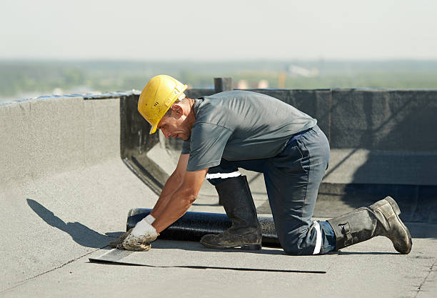 Best Insulation Maintenance and Repair in Moulton, AL