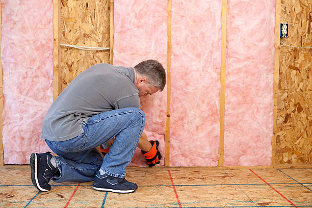 Best Insulation for Specific Applications in Moulton, AL