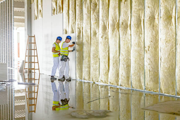 Best Residential Insulation in Moulton, AL